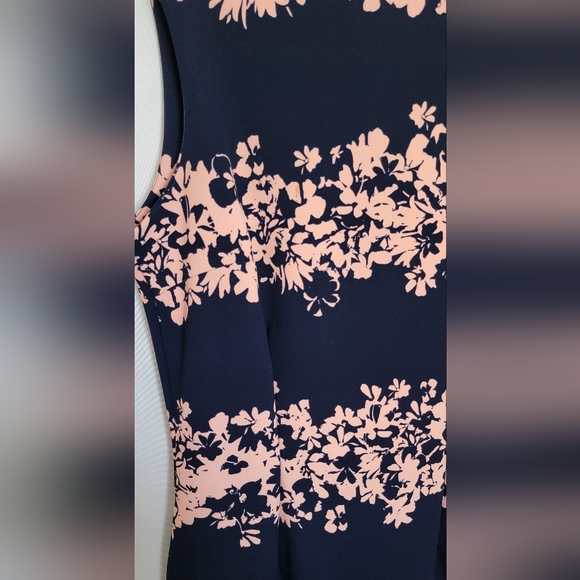 Banana Republic Pink & Navy Blue Sheath Mini Dress Scoop Neck Sleeveless… - Picture 4 of 9
